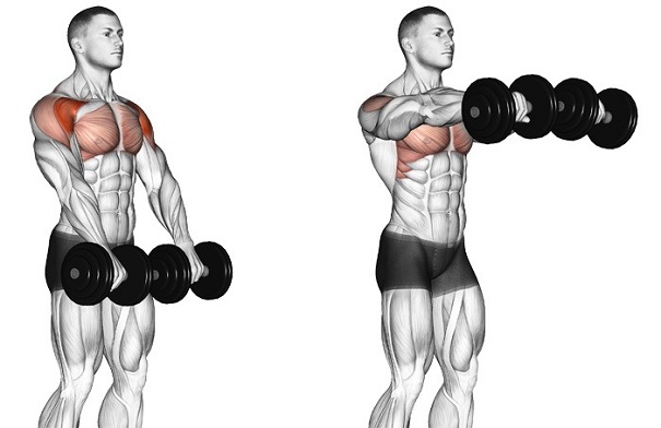 bai-tap-dumbbell-front-raise