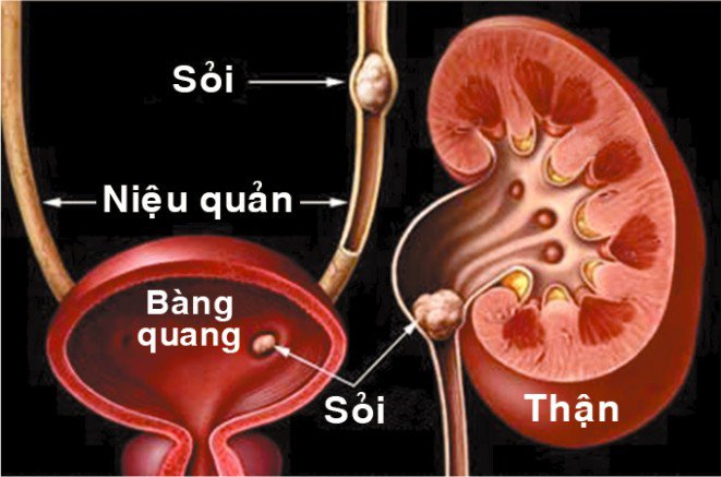 cach-massage-bam-huyet-noi-quan-tri-nhung-benh-gi-4