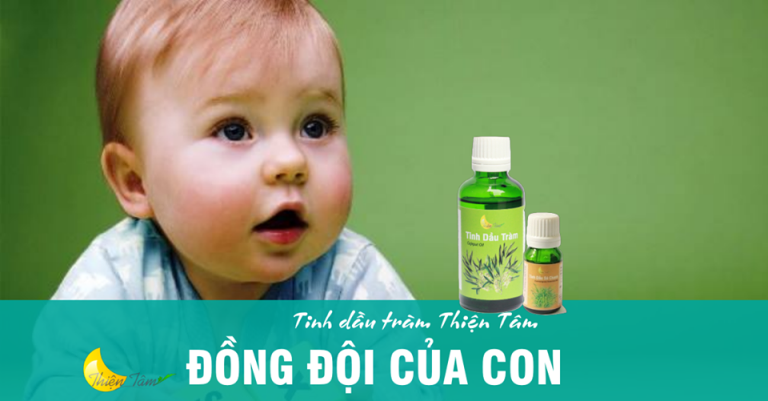 Cách sử dụng tinh dầu tràm huế 