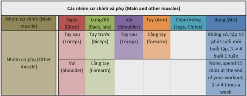 Lịch tập thể hình tại nhà hiệu quả