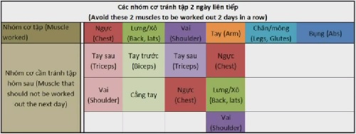 Lịch tập thể hình tại nhà hiệu quả